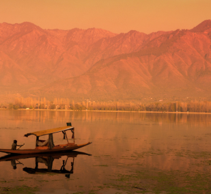 Best Selling Kashmir